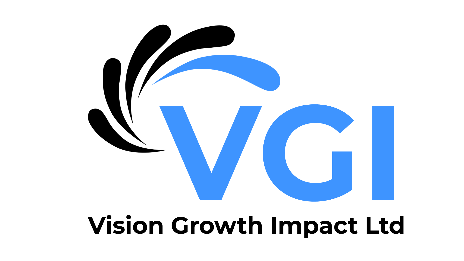 Vision Growth, Impact LTD